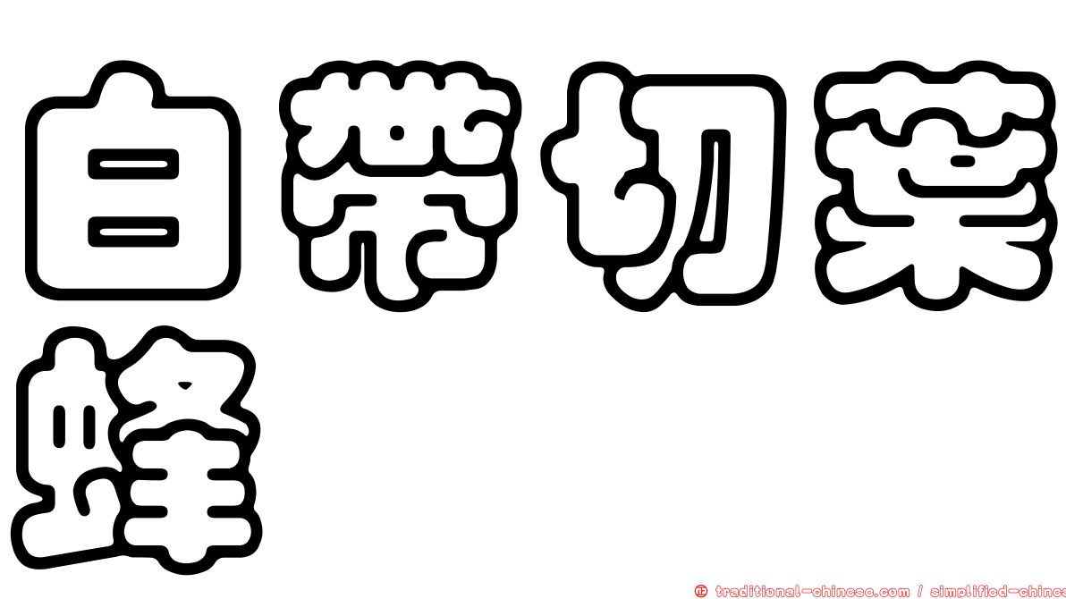 白帶切葉蜂