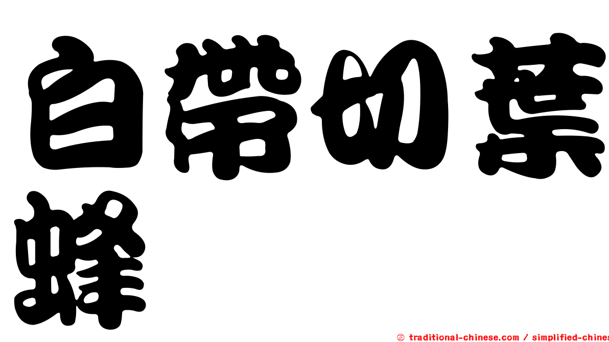白帶切葉蜂