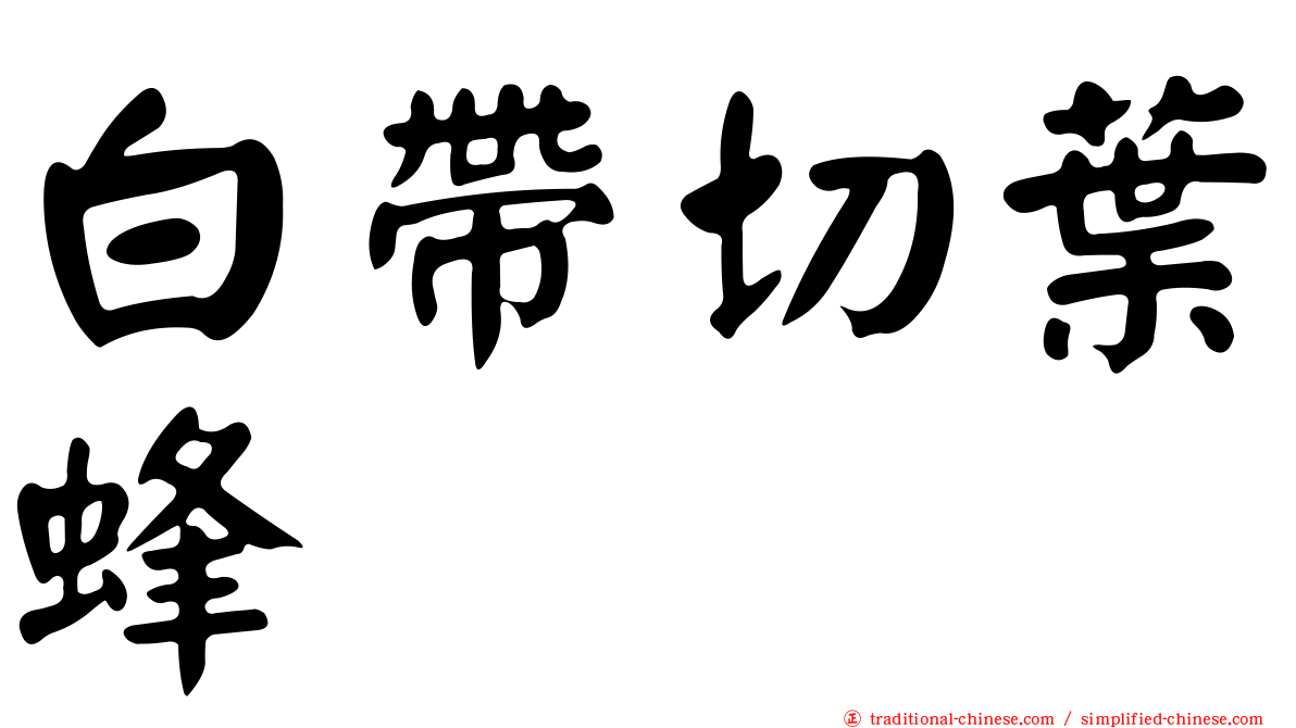 白帶切葉蜂
