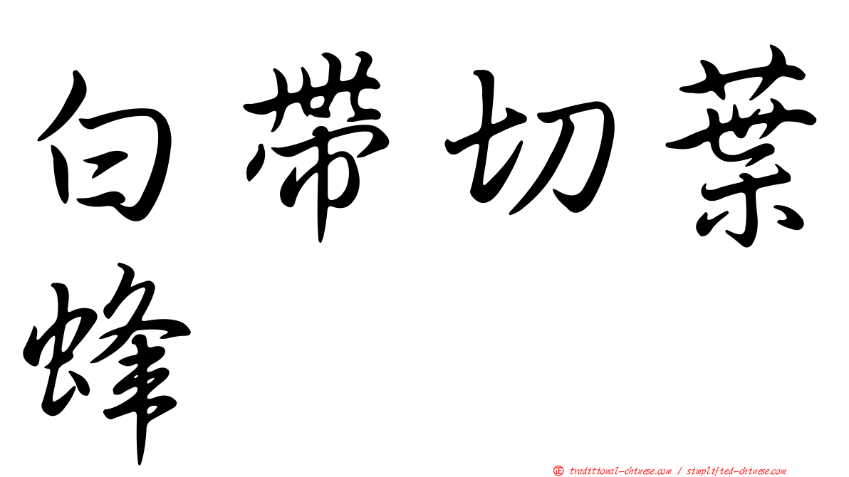 白帶切葉蜂