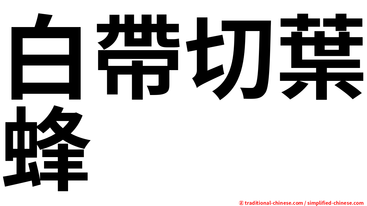 白帶切葉蜂
