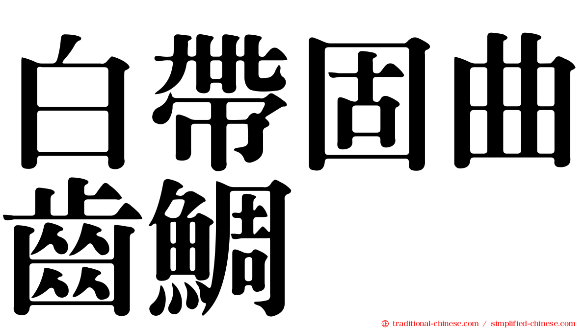 白帶固曲齒鯛