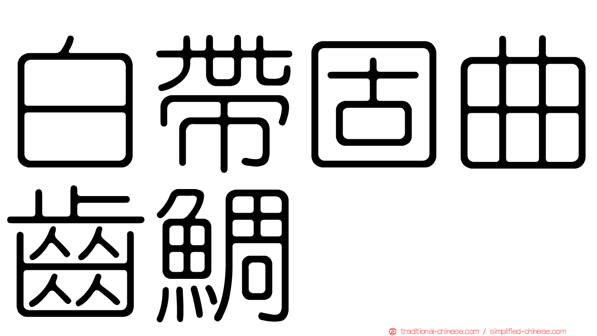 白帶固曲齒鯛