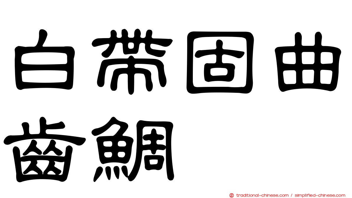白帶固曲齒鯛