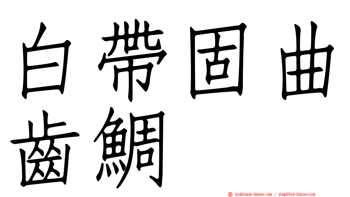 白帶固曲齒鯛