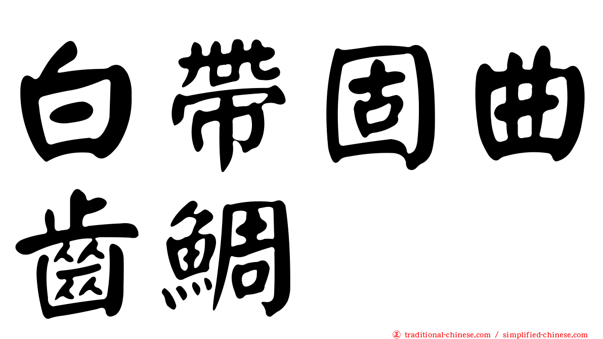 白帶固曲齒鯛