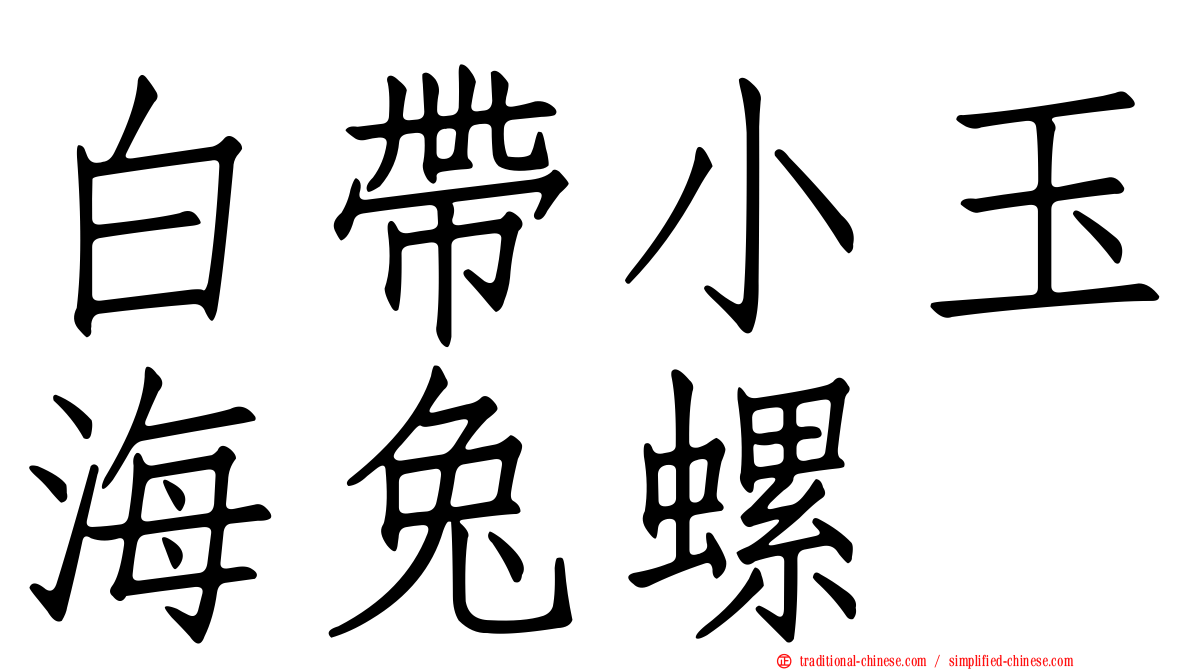 白帶小玉海兔螺