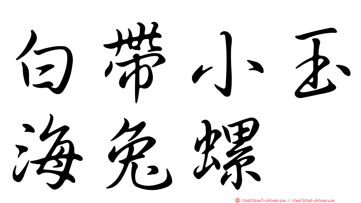 白帶小玉海兔螺