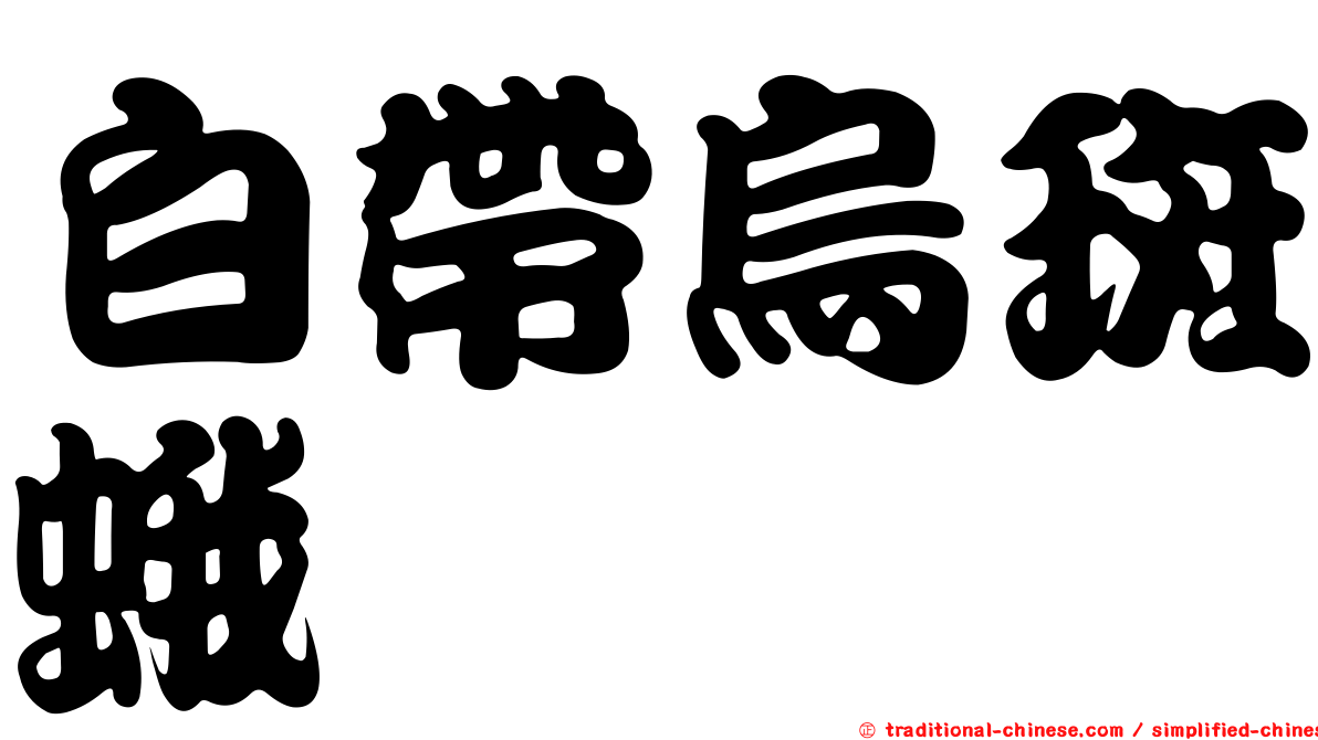 白帶烏斑蛾