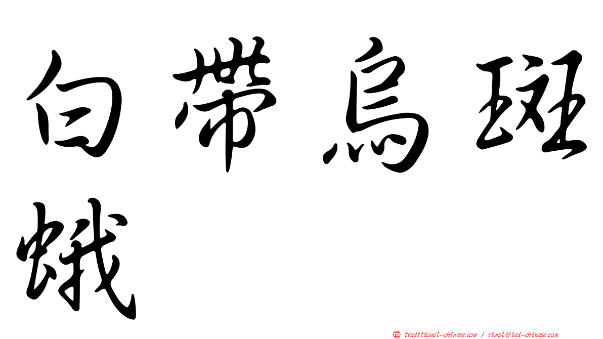 白帶烏斑蛾