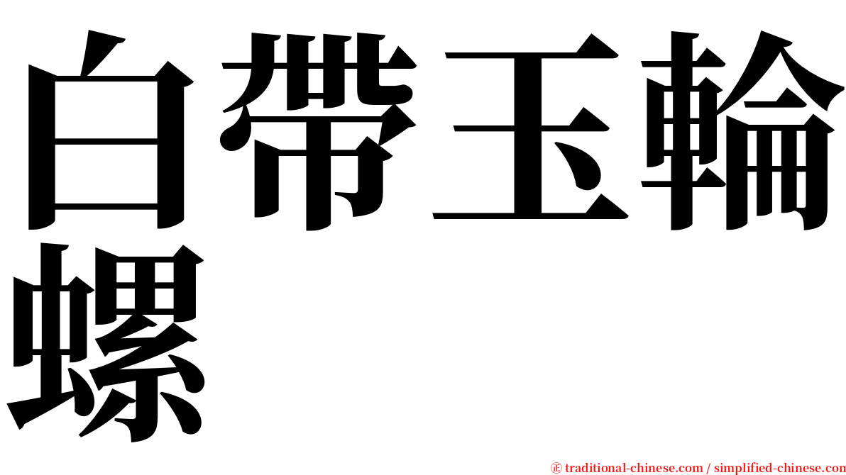 白帶玉輪螺 serif font