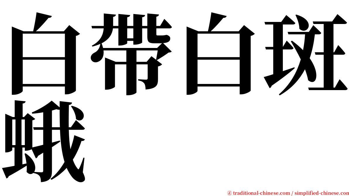 白帶白斑蛾 serif font