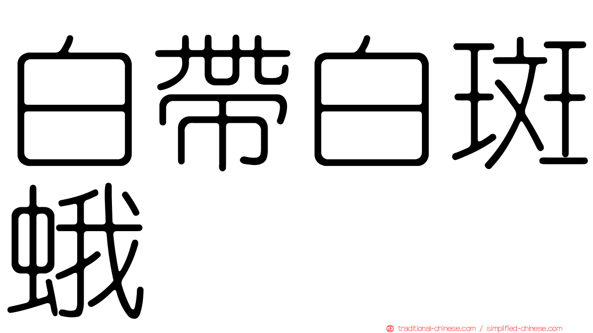 白帶白斑蛾