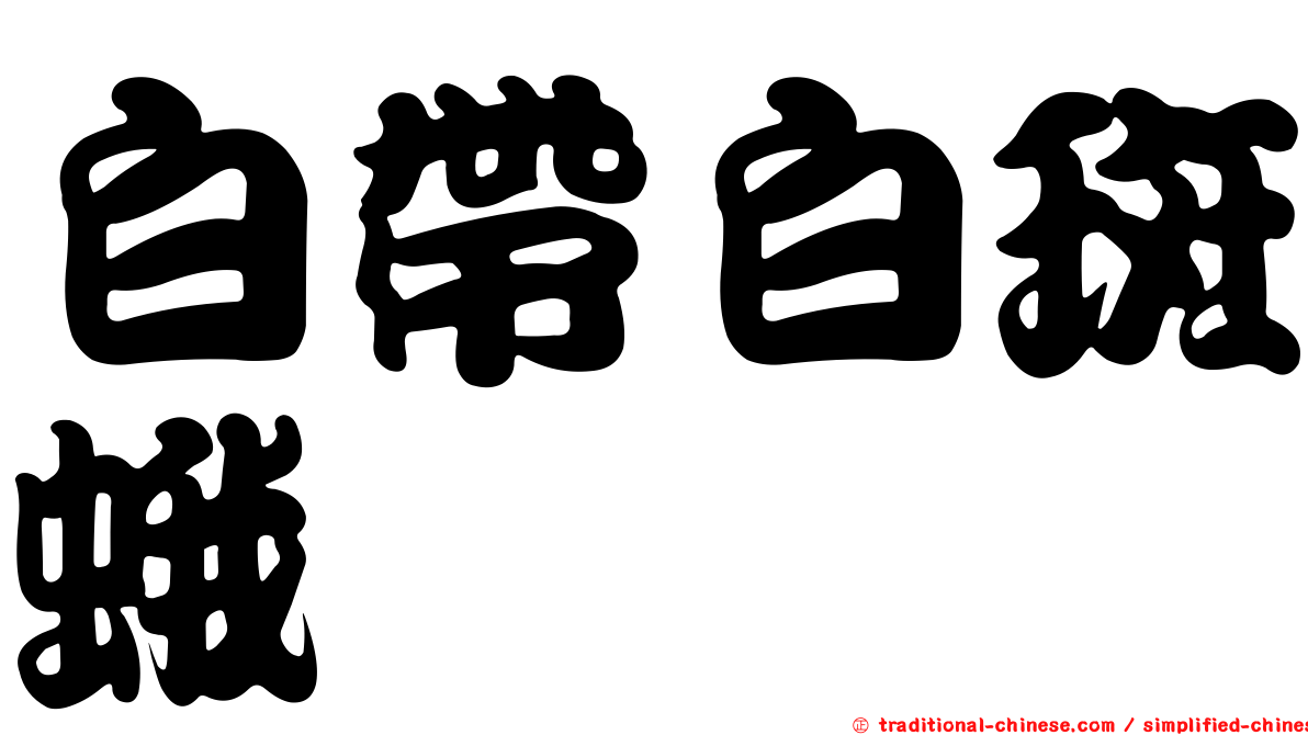 白帶白斑蛾