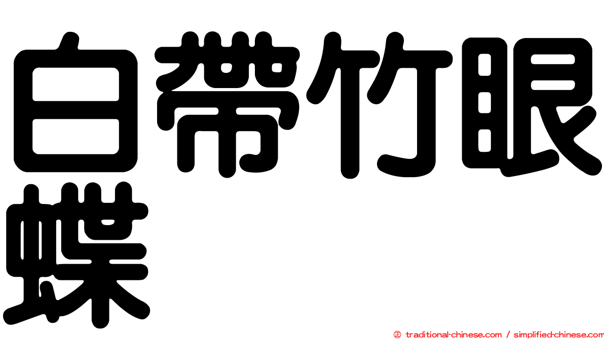 白帶竹眼蝶