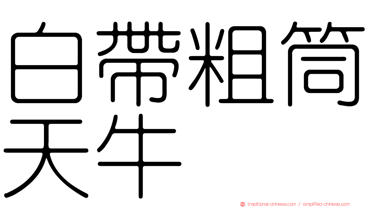 白帶粗筒天牛