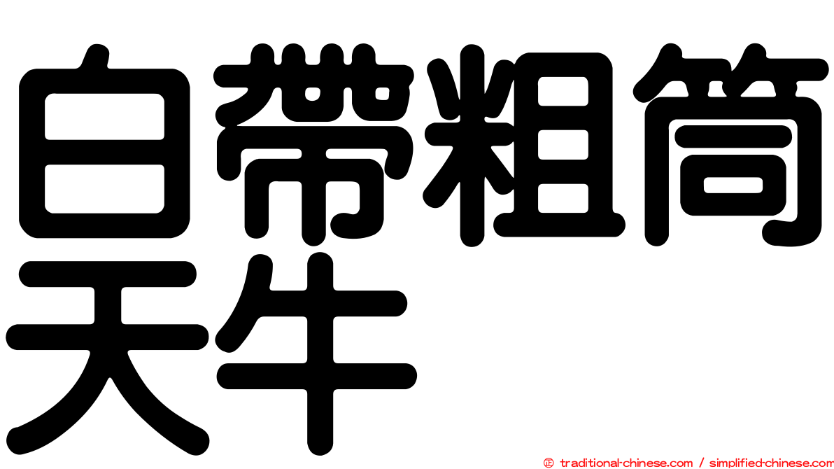 白帶粗筒天牛