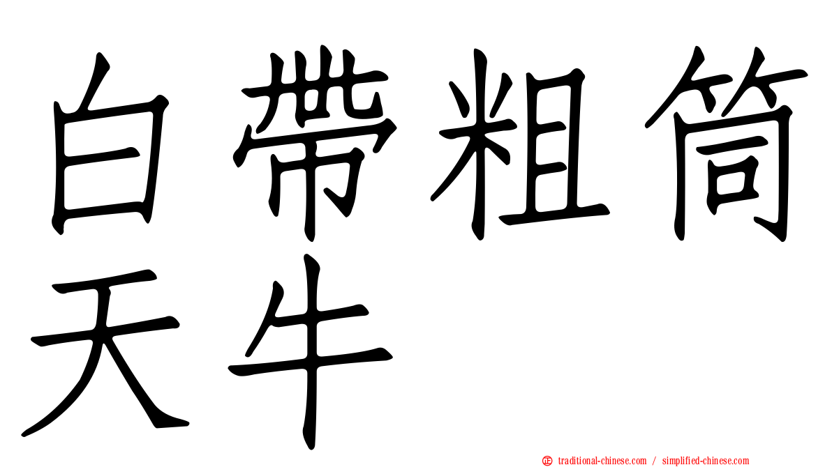 白帶粗筒天牛