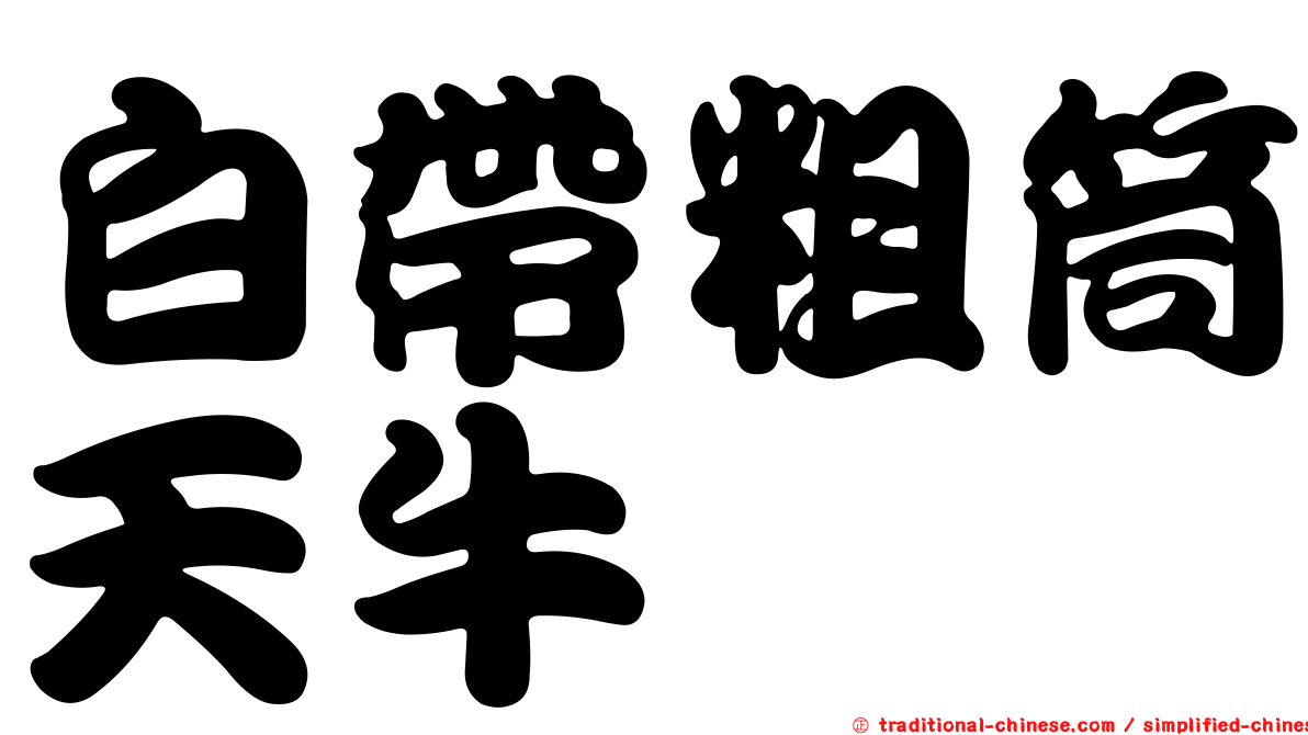 白帶粗筒天牛