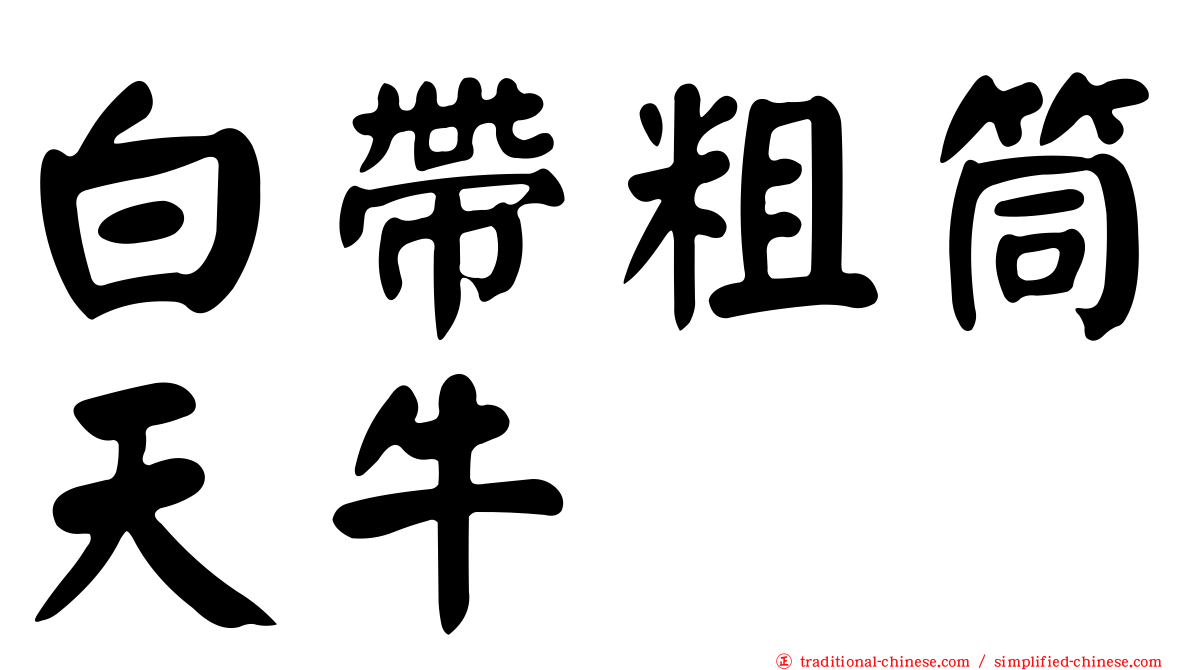 白帶粗筒天牛