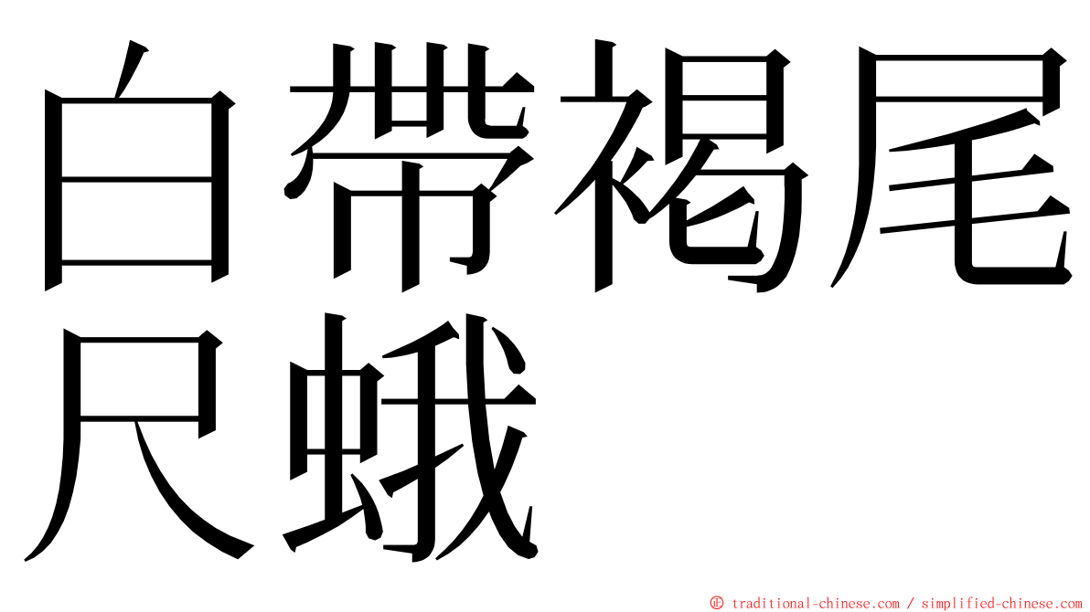 白帶褐尾尺蛾 ming font