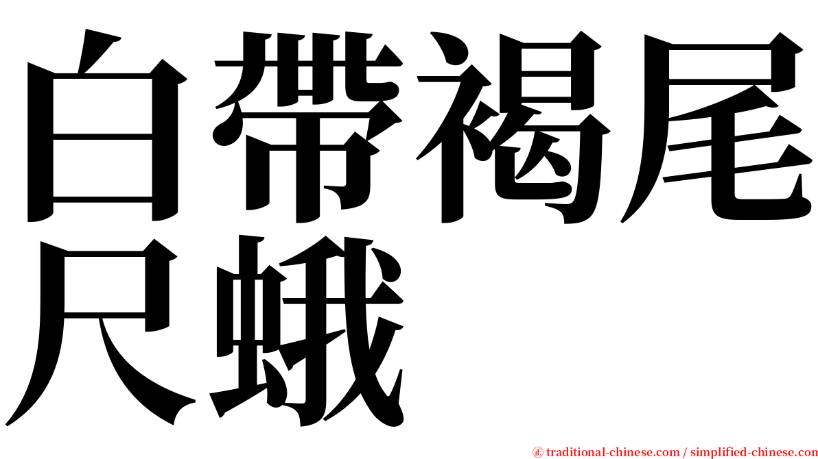 白帶褐尾尺蛾 serif font