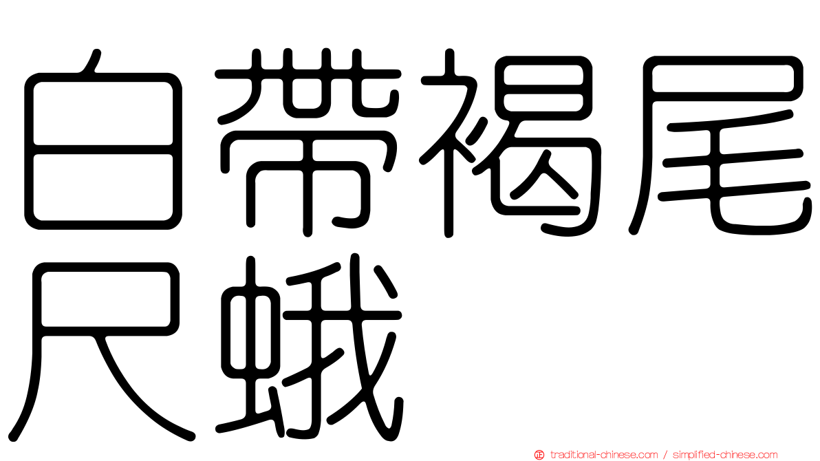 白帶褐尾尺蛾