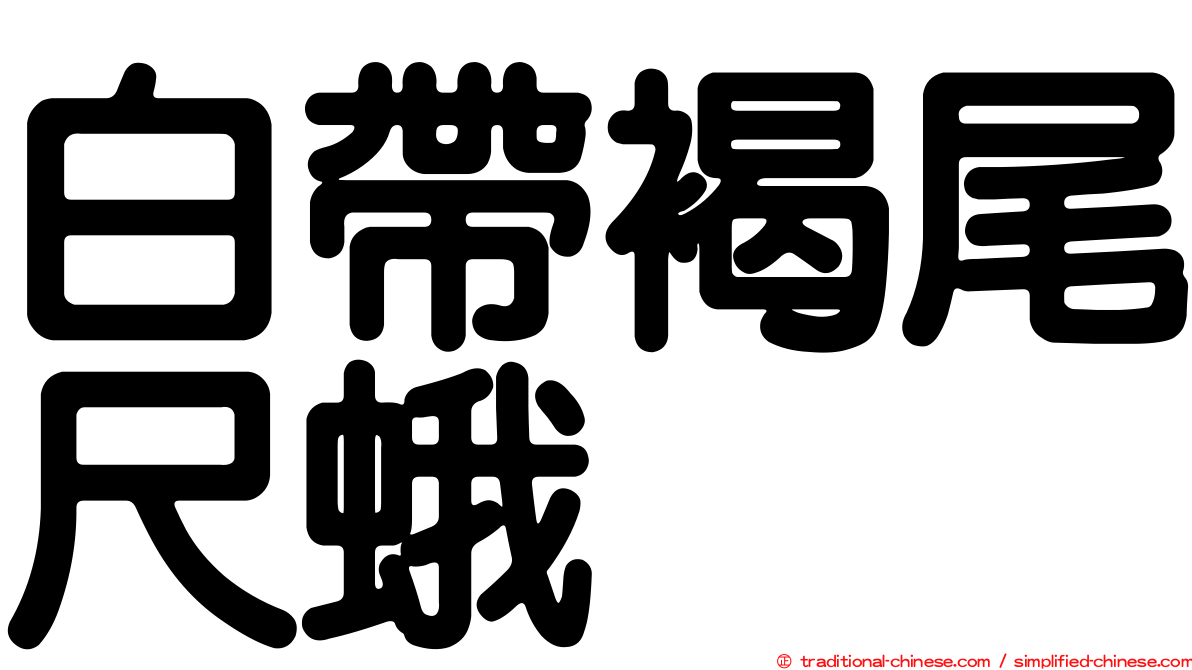 白帶褐尾尺蛾
