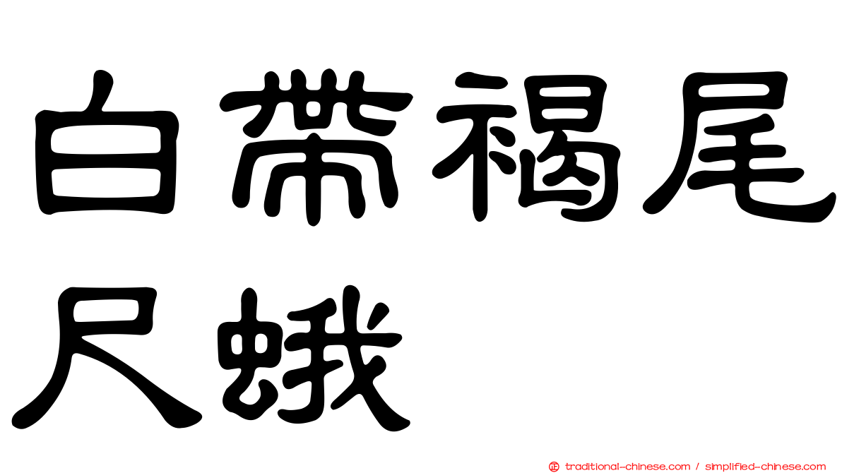 白帶褐尾尺蛾