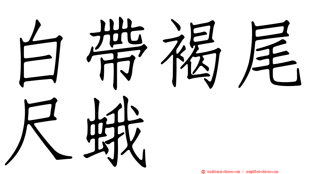 白帶褐尾尺蛾