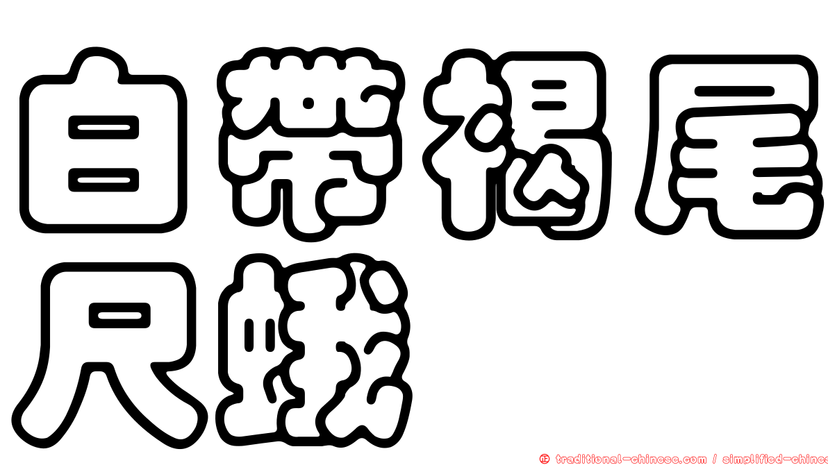 白帶褐尾尺蛾