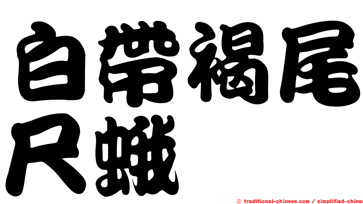 白帶褐尾尺蛾