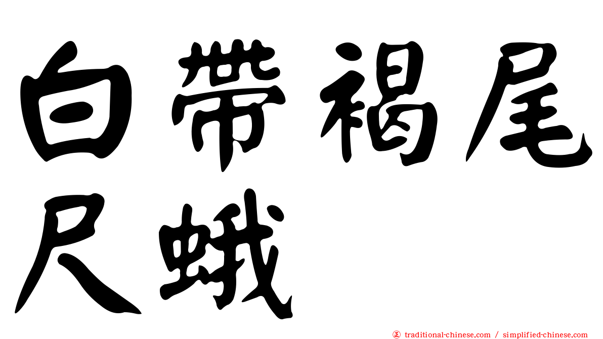 白帶褐尾尺蛾
