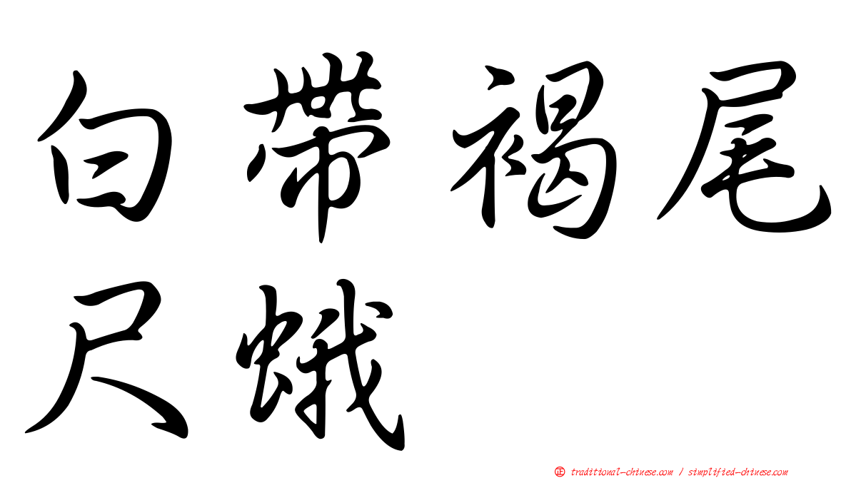 白帶褐尾尺蛾
