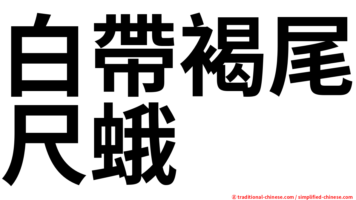白帶褐尾尺蛾