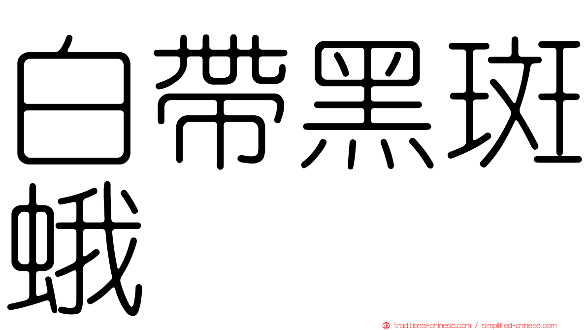 白帶黑斑蛾