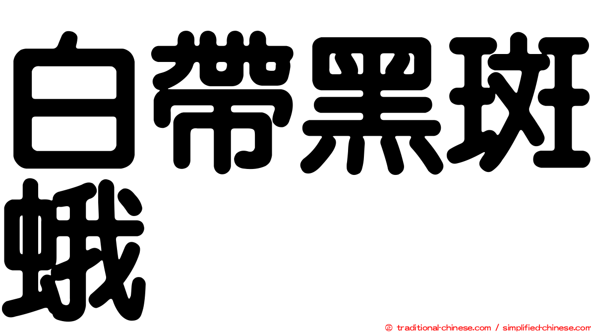 白帶黑斑蛾