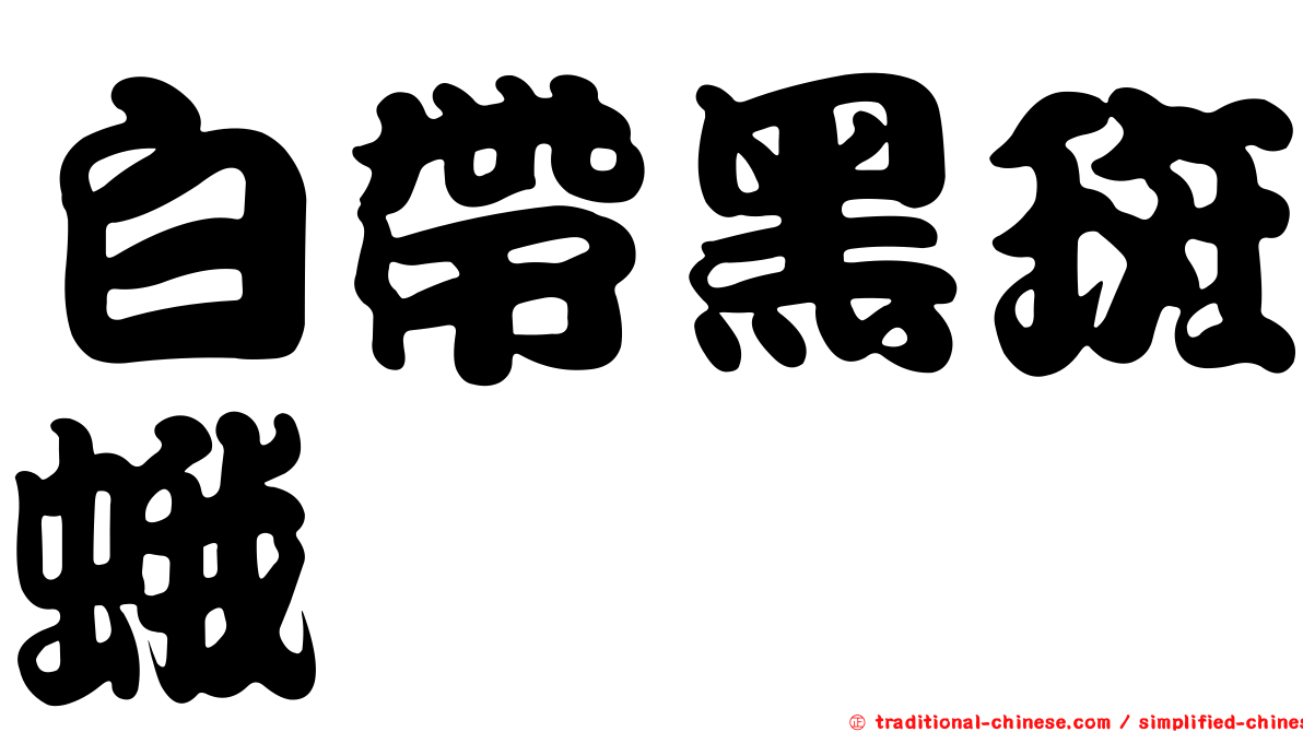 白帶黑斑蛾