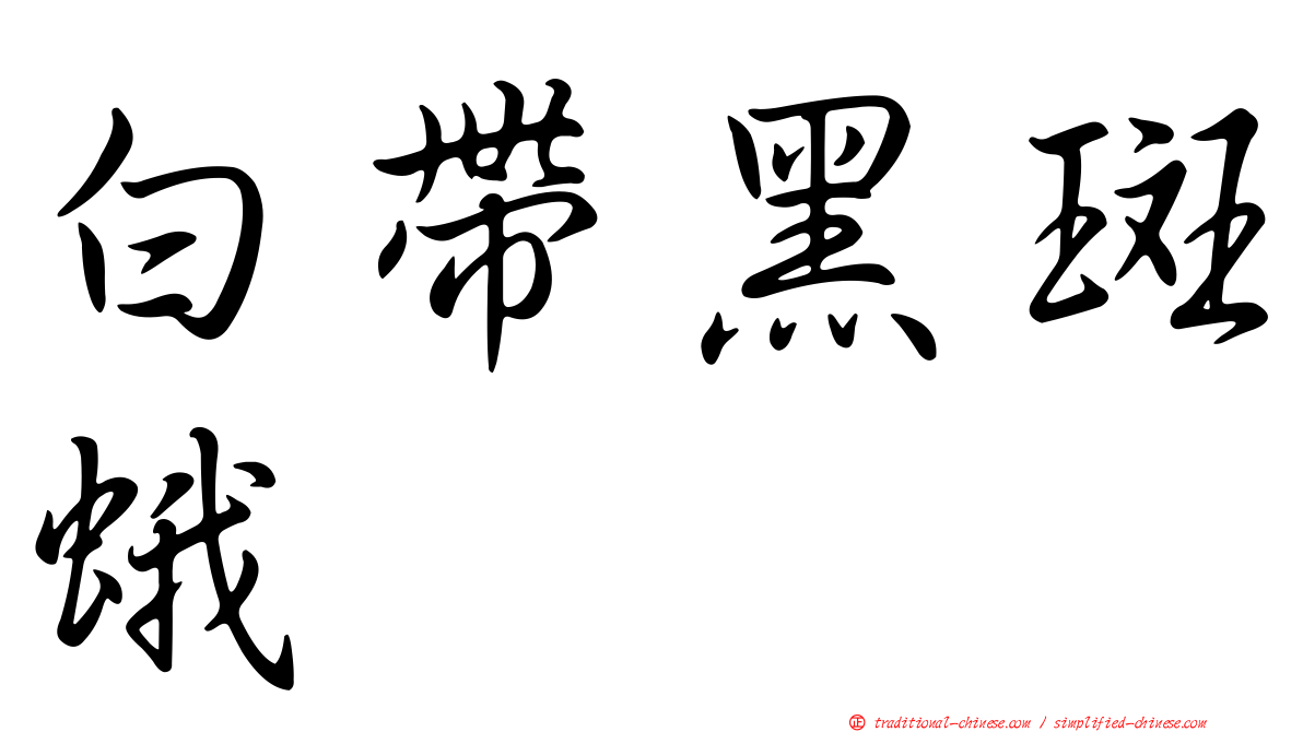 白帶黑斑蛾