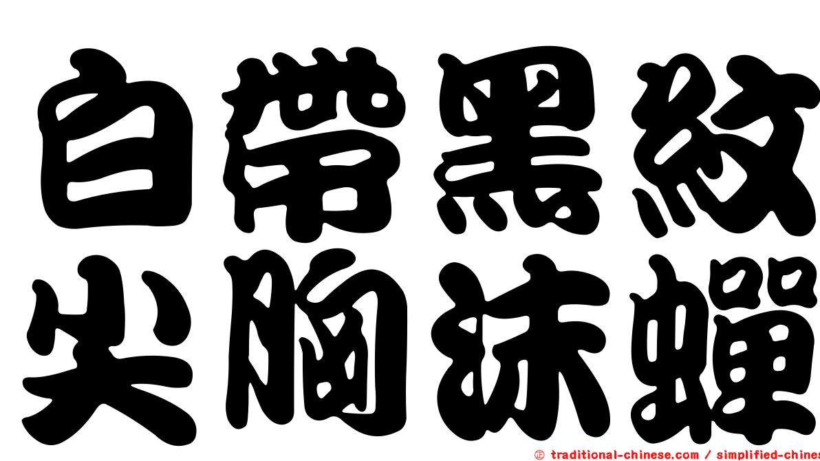 白帶黑紋尖胸沫蟬