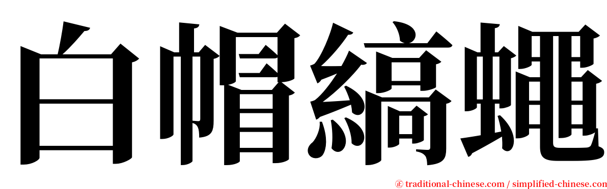 白帽縞蠅 serif font