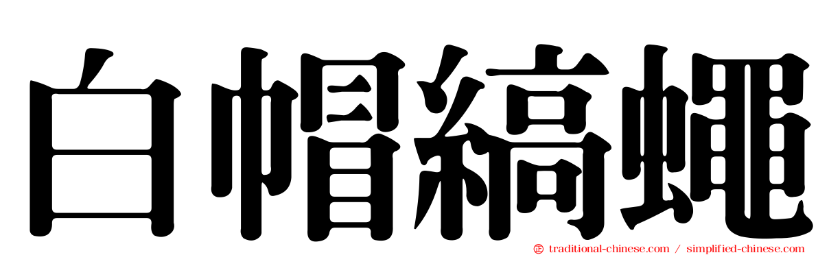 白帽縞蠅