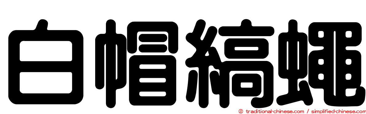 白帽縞蠅