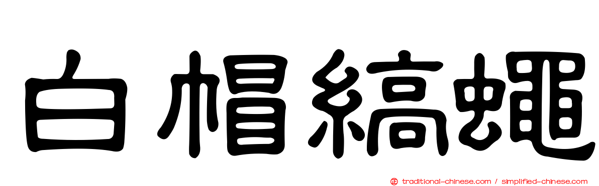 白帽縞蠅
