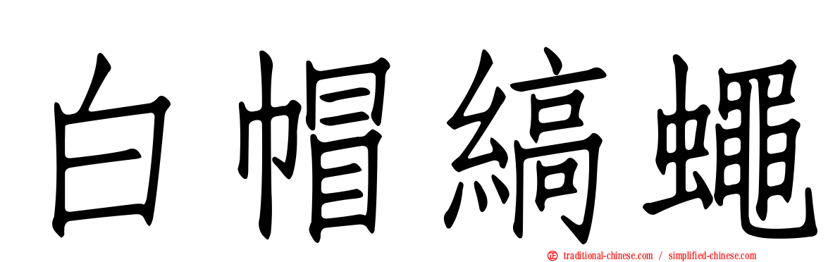 白帽縞蠅