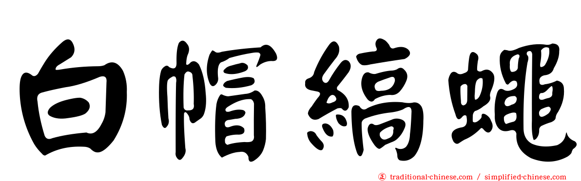 白帽縞蠅