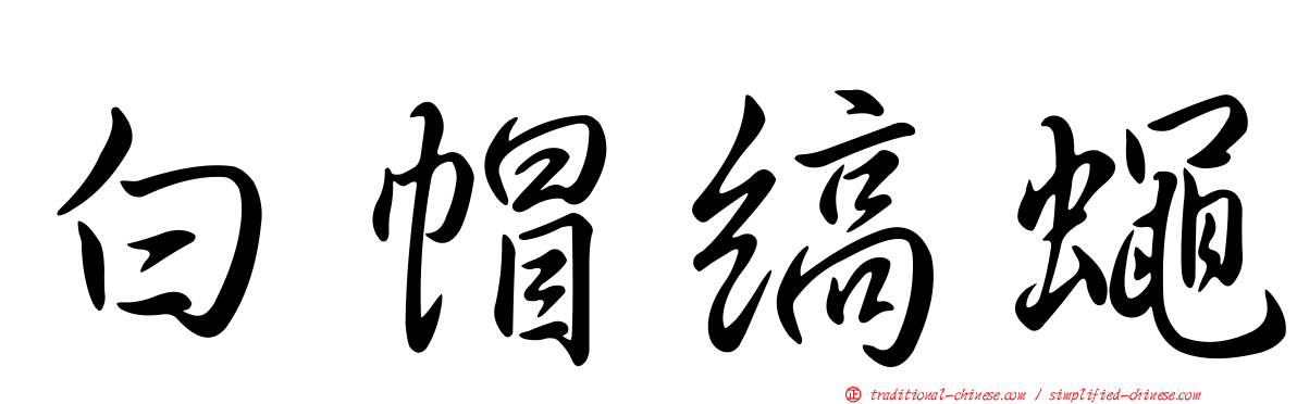 白帽縞蠅