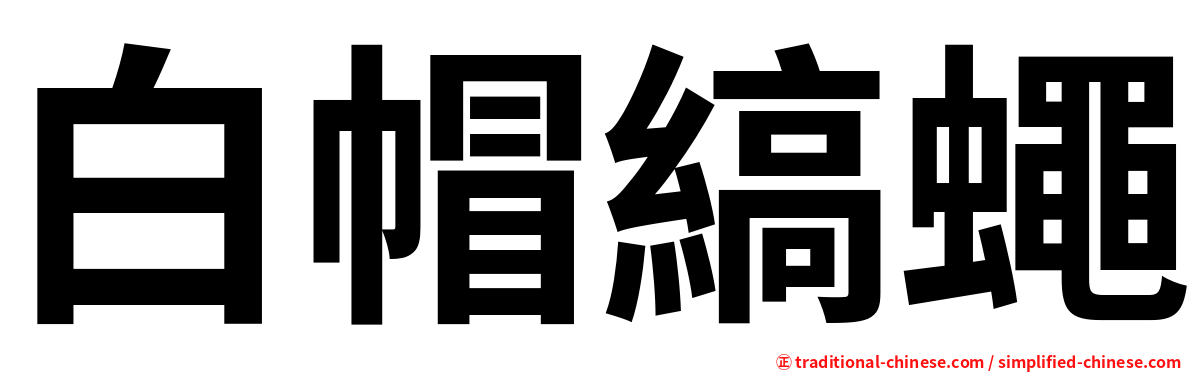 白帽縞蠅
