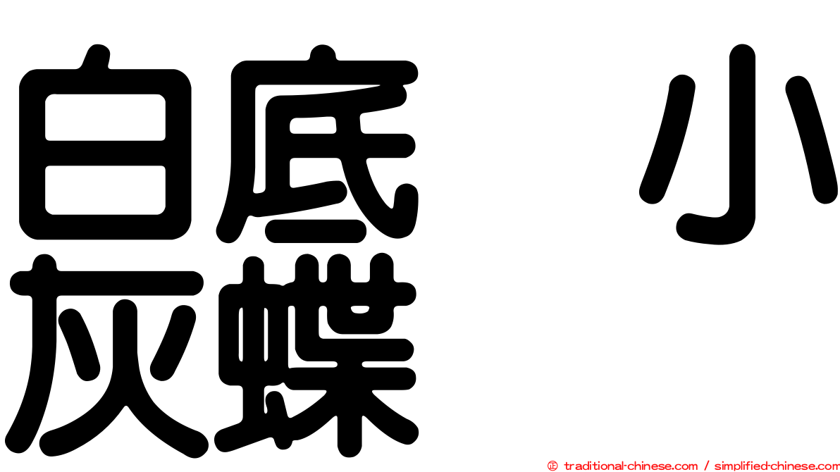 白底烏小灰蝶