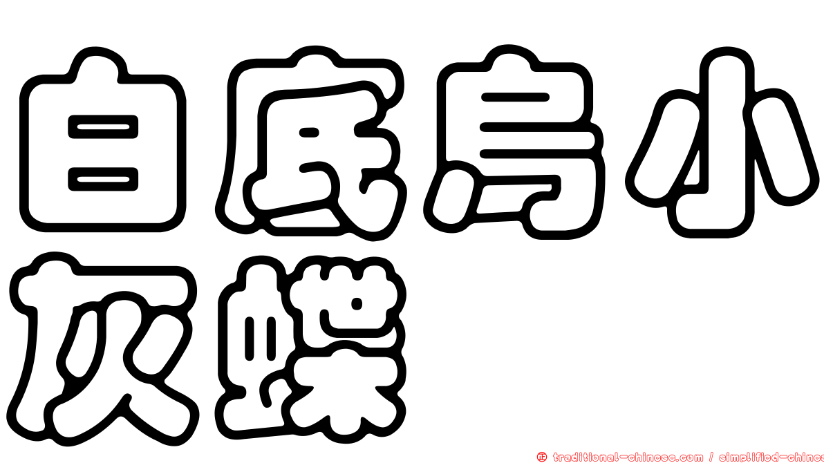 白底烏小灰蝶